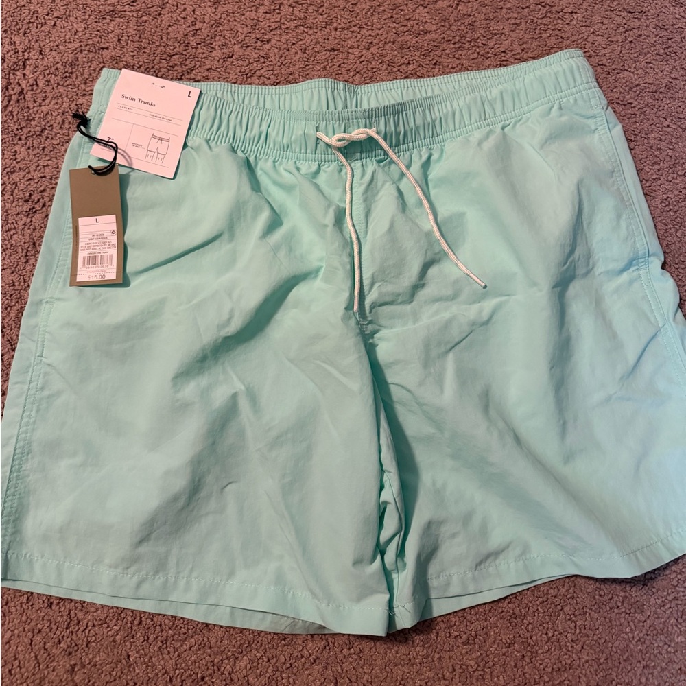 Goodfellow & Co Men's Mint Swim Shorts